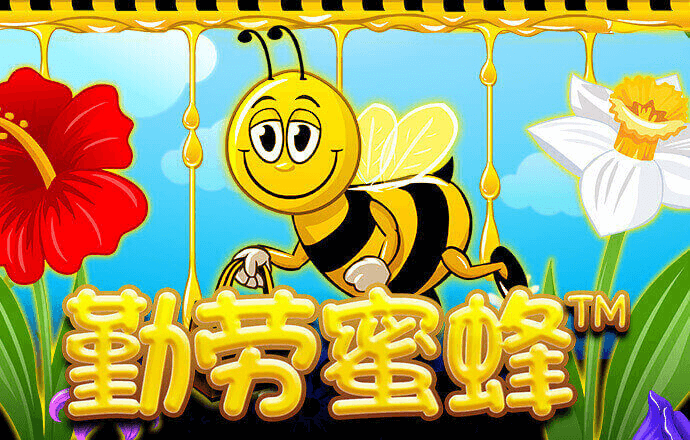 老财神78049最新版本更新